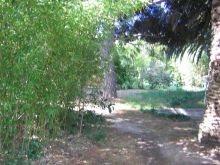 jardin RAMATUELLE